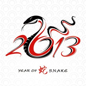 2013-year-of-the-snake-design